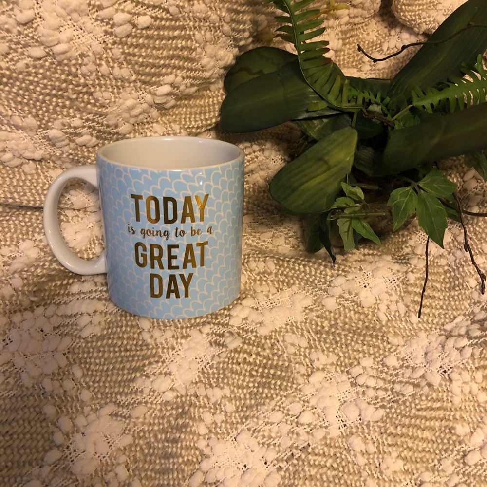 💥New never used Today make it a great day mug